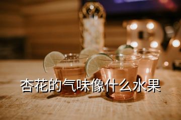 杏花的氣味像什么水果