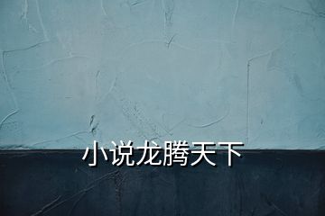 小說龍騰天下