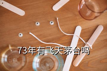 73年有飛天茅臺(tái)嗎