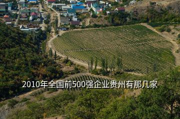 2010年全國前500強企業(yè)貴州有那幾家