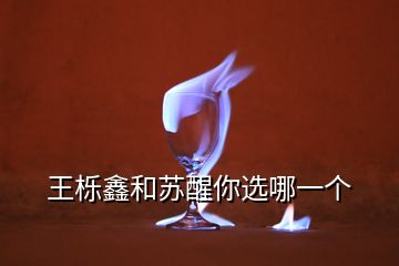 王櫟鑫和蘇醒你選哪一個(gè)