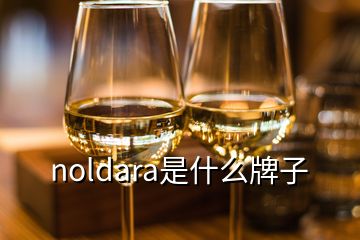 noldara是什么牌子