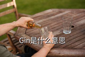 Gin是什么意思