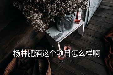 楊林肥酒這個項目怎么樣啊