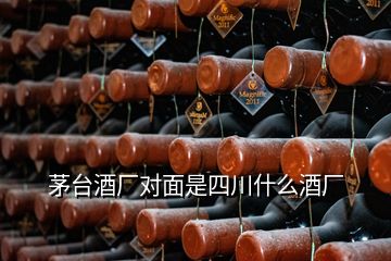 茅臺酒廠對面是四川什么酒廠