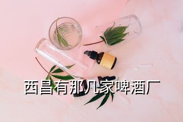 西昌有那幾家啤酒廠