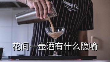 花間一壺酒有什么隱喻