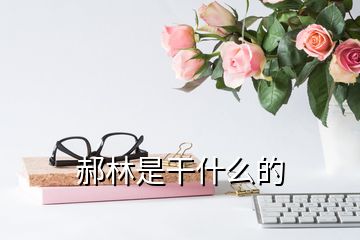 郝林是干什么的