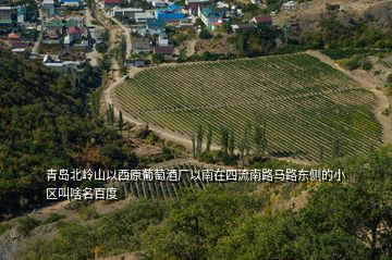 青島北嶺山以西原葡萄酒廠以南在四流南路馬路東側(cè)的小區(qū)叫啥名百度