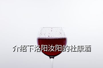 介紹下洛陽汝陽的杜康酒