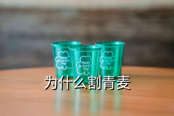 為什么割青麥