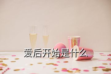 愛后開始是什么