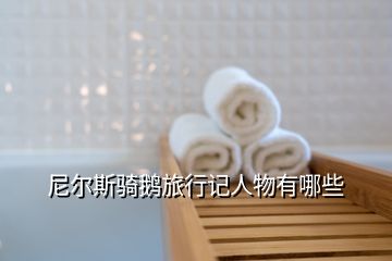 尼爾斯騎鵝旅行記人物有哪些