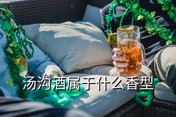 湯溝酒屬于什么香型