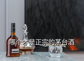 哪個(gè)才是正宗的茅臺(tái)酒