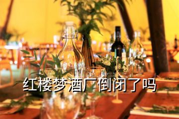 紅樓夢酒廠倒閉了嗎