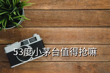 53度小茅臺值得搶嘛