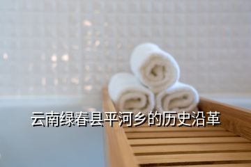 云南綠春縣平河鄉(xiāng)的歷史沿革