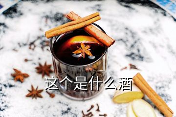 這個是什么酒