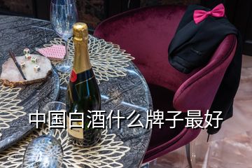 中國(guó)白酒什么牌子最好