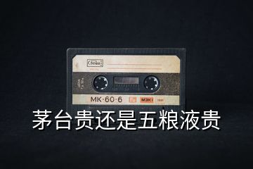茅臺(tái)貴還是五糧液貴