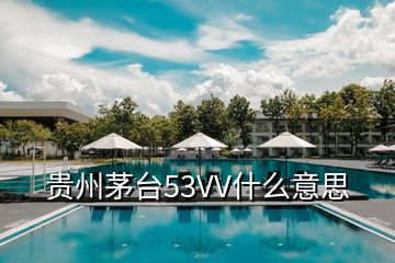 貴州茅臺53VV什么意思