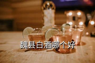 魏縣白酒哪個好