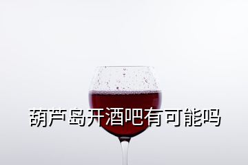 葫蘆島開酒吧有可能嗎