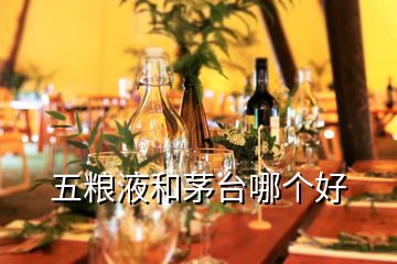 五糧液和茅臺(tái)哪個(gè)好