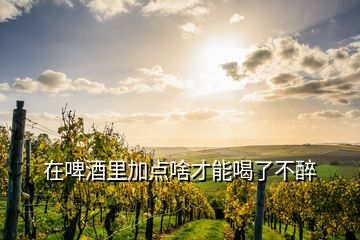 在啤酒里加點啥才能喝了不醉