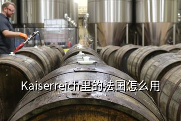 Kaiserreich里的法國(guó)怎么用