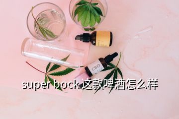 super bock 這款啤酒怎么樣