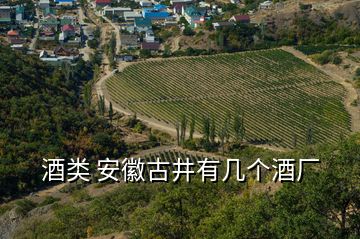 酒類 安徽古井有幾個酒廠