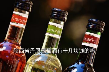 陜西省丹鳳葡萄酒有十幾塊錢(qián)的嗎