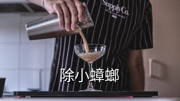 除小蟑螂