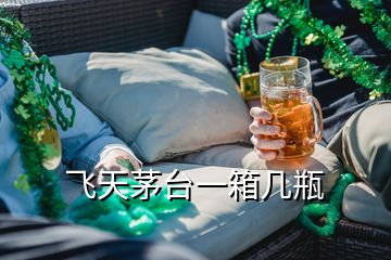 飛天茅臺(tái)一箱幾瓶