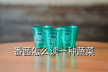 番茜怎么讀一種蔬菜