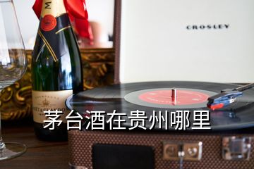 茅臺(tái)酒在貴州哪里