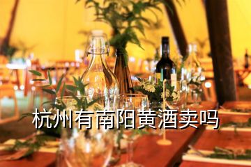 杭州有南陽(yáng)黃酒賣(mài)嗎