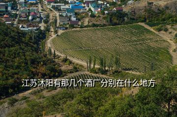 江蘇沭陽有那幾個酒廠分別在什么地方