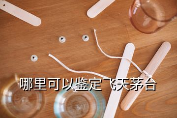 哪里可以鑒定飛天茅臺(tái)