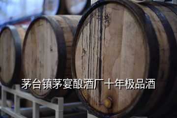 茅臺鎮(zhèn)茅宴釀酒廠十年極品酒