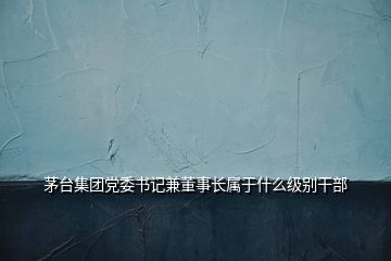 茅臺(tái)集團(tuán)黨委書記兼董事長屬于什么級(jí)別干部