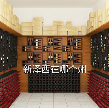 新澤西在哪個州