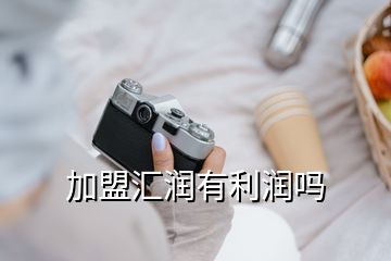 加盟匯潤(rùn)有利潤(rùn)嗎