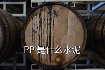 PP 是什么水泥