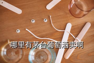 哪里有茅臺(tái)葡萄酒賣啊