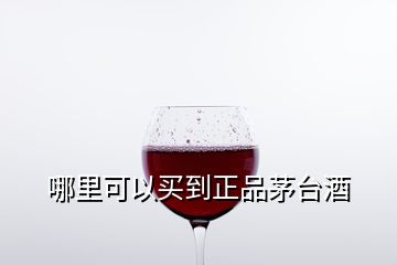 哪里可以買到正品茅臺(tái)酒