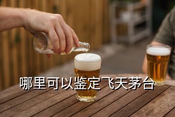 哪里可以鑒定飛天茅臺(tái)