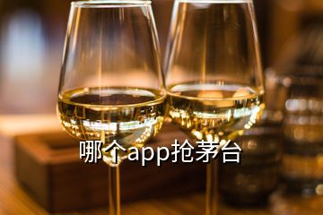 哪個(gè)app搶茅臺(tái)